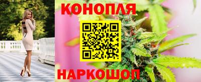 эйфоретик Будённовск
