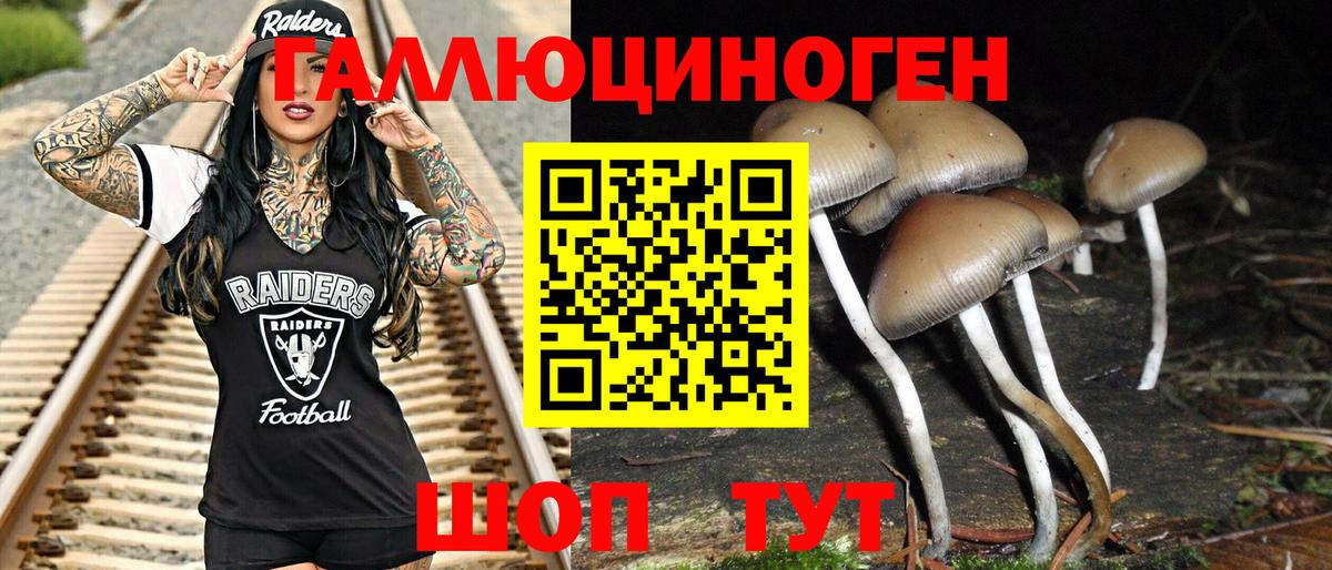 Псилоцибиновые грибы Magic Shrooms  Вход с VPN  закладки  Псилоцибиновые грибы Magic Shrooms  Елец 