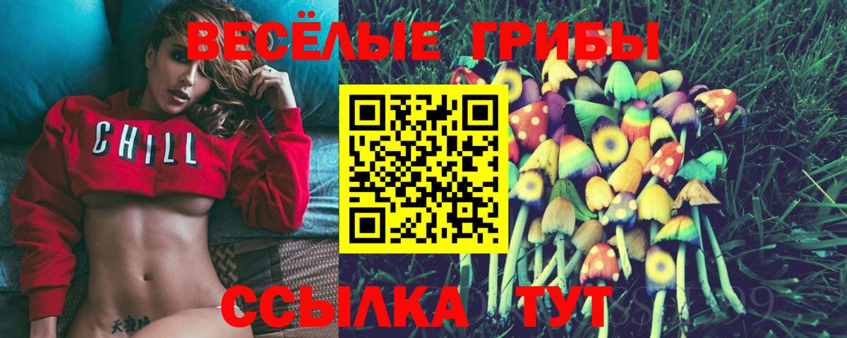 Псилоцибиновые грибы GOLDEN TEACHER Елец